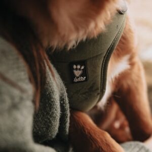 Eco-Friendly Pet Carrier