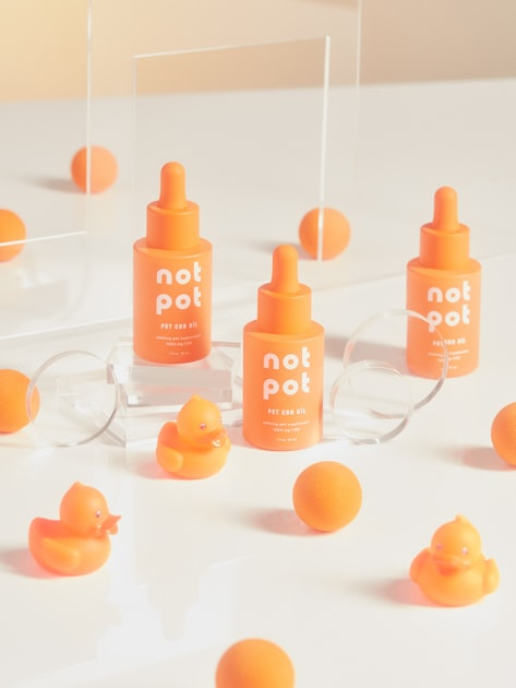 Eco-Friendly Pet Products