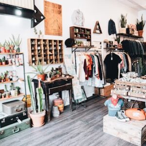 Sustainable Pet Toys